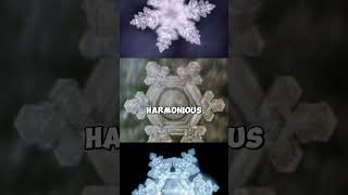 HOW YOUR WORDS AFFECT YOUR LIFE – SHOCKING SCIENTIFIC...?😱 #masaruemoto #powerofwords #shorts