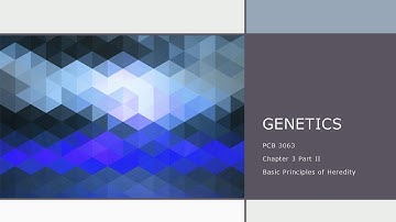 Chapter 3   Part 2   Basic Principles of Heredity