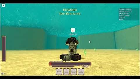 Rogue Lineage - Exploiter killed me