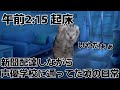 新聞配達しながら声優学校に通ってた頃の日常【猫ミーム】 #猫ミーム #猫マニ