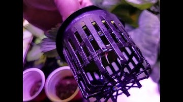 DIY Arduino Controlled Aeroponic Strawberries 4