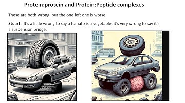 AlphaFold 3 Accuracy on Antibody Binding and Protein Interactions