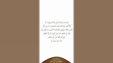 تلاوة في دقيقة | سورة الذاريات | الآيات من ٤٧ إلى ٥١ | الشيخ حسين آل الشيخ