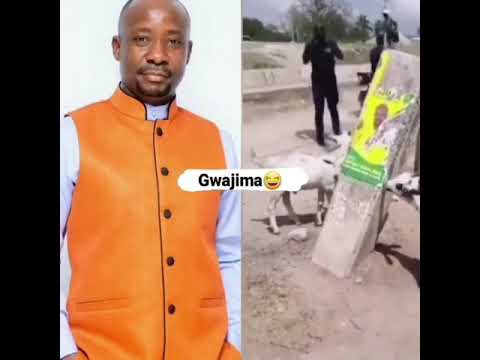 Tazama Picha Ya GWAJIMA Ilivyofanywa Na Hawa Mbuzi Gwajima Kawe Uchaguzi Mbuzi Shoramedia