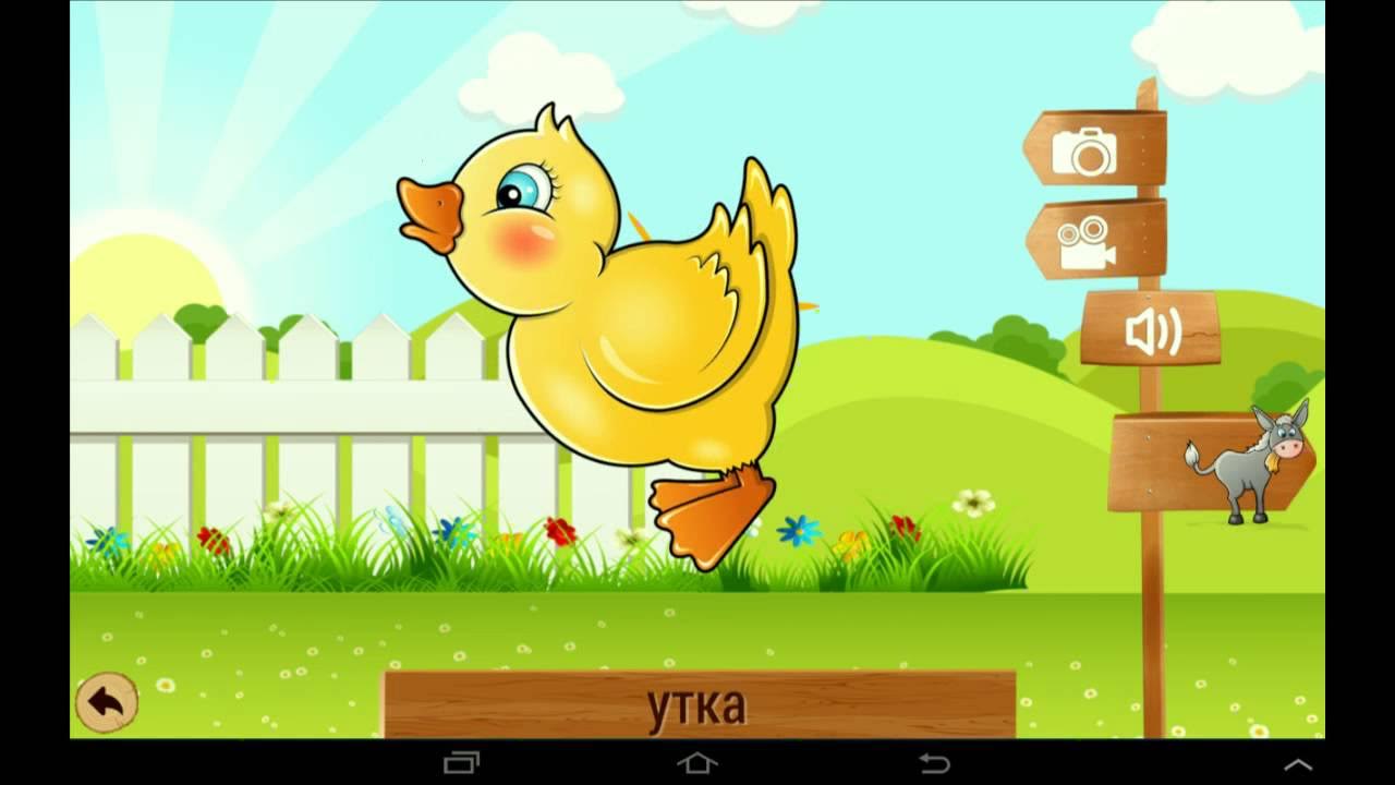 считаем до 10 с ежиком. алфавит для детей. буква р для детей. азбука буква р. лунтик буквы игра.