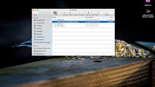 Lightroom Quick Tips - Episode 49: Importing Images From Apple Photos