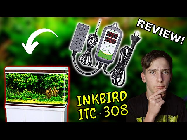 Inkbird ITC-308 Temperature Controller Review - Spec-Tanks