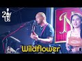 Wildflower   skylark 2 of us acoustic cover