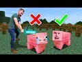 Animal Prop Hunt Challenge! | Minecraft