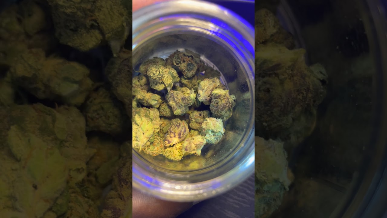 G purps strain review