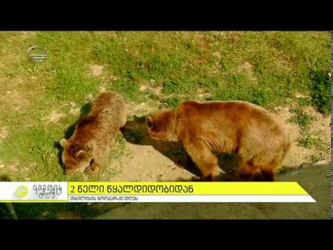 თბილისის ზოოპარკი დღეს - ზურაბ გურიელიძე \"იმედის დღეში\"