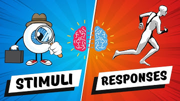 STIMULI and RESPONSES | Types | Interaction - Primary Education Grade 5-6 | Elementary | Kids