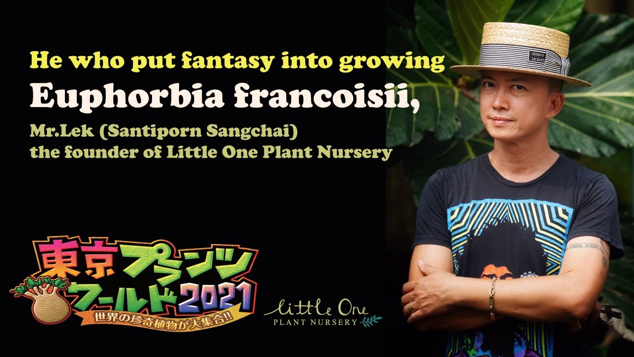 He who put fantasy into growing Euphobia francoisii คุณเล็ก ผู้แปลงโฉม ยูโฟเบีย ฟรองซัวร์