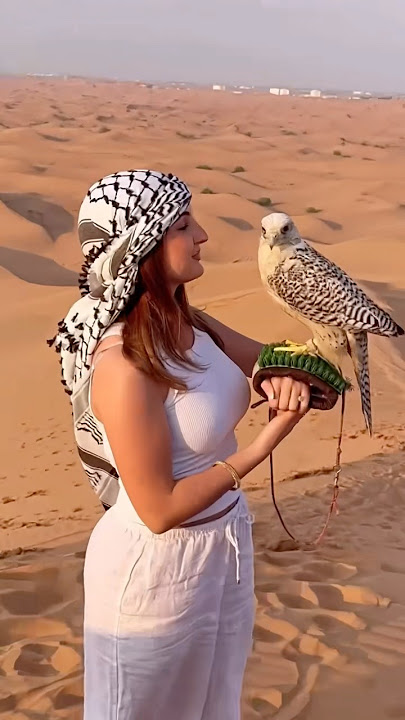 Desert Safari Dubai 🦅🦅#falcon #desertsafari #travel #deserttour #foryou #dubai #viralshort #views