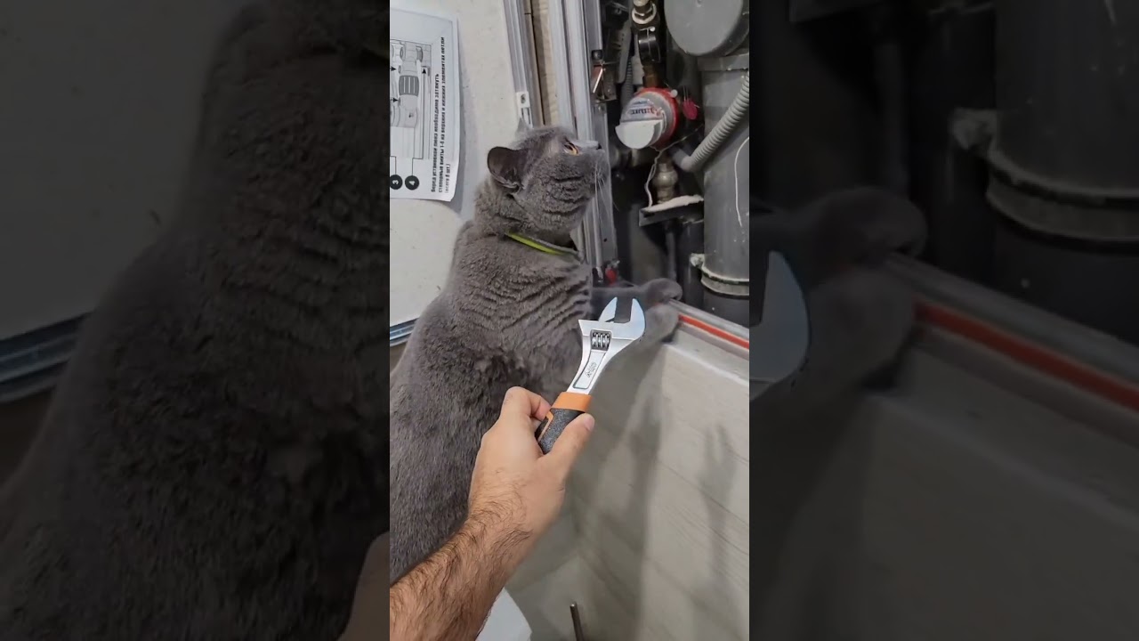 Хоразм Сантехник тел 94 230 30 77