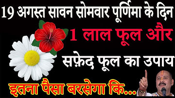19 अगस्त सावन सोमवार पूर्णिमा के दिन 1 लाल फूल 1 सफेद फूल का उपाय जरूर करे || Pradeep Ji Mishra