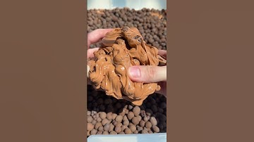 Name this SLIME 💩