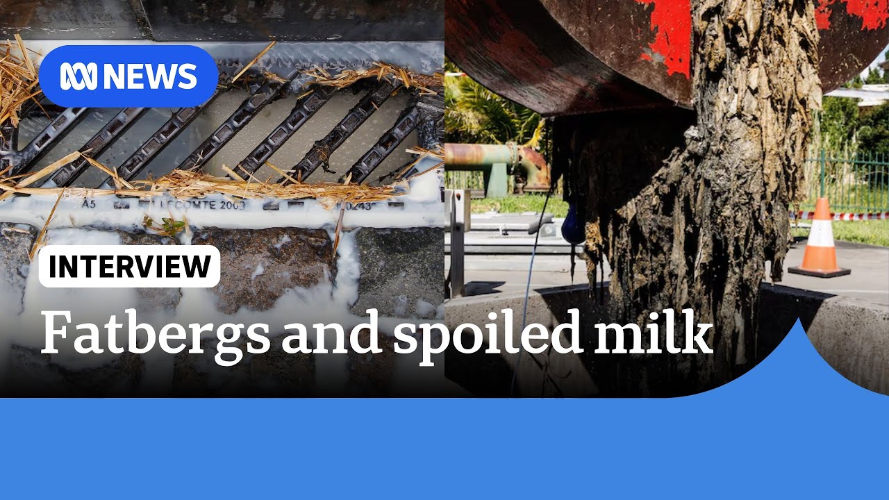 Fatbergs caused by pouring milk down the drain: Sydney Water | ABC NEWS ...