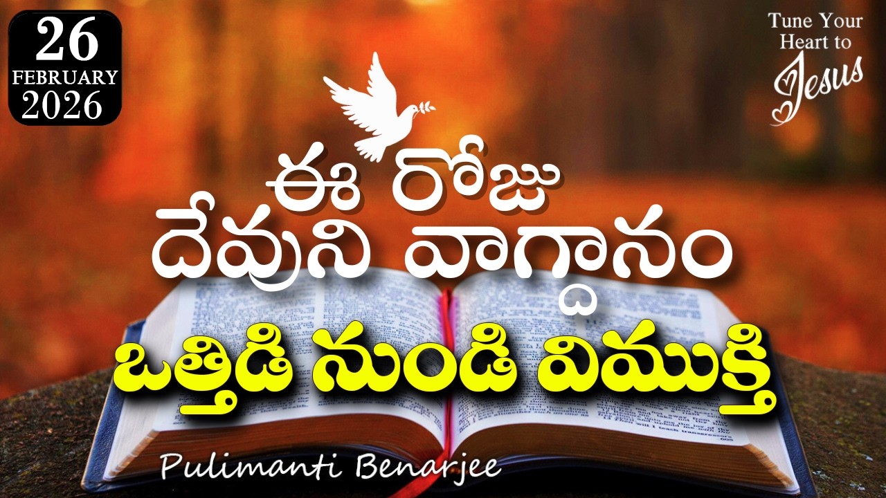 Today's Promise 26.02.2026 |