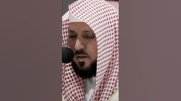 سورة النجم آية ٣٩-٤٩
