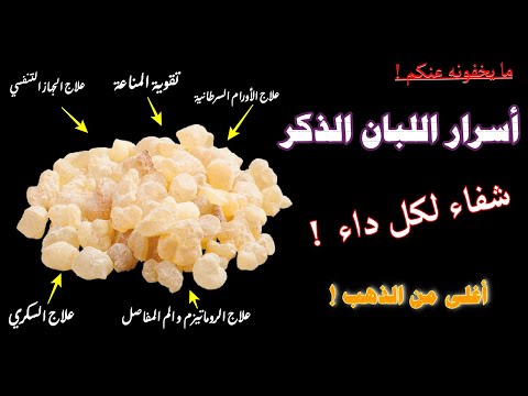 حصى لبان كنز الطبيعة السر الخفي للشفاء و العلاج من كل داء تعرف على اسراره لا يفوتك
