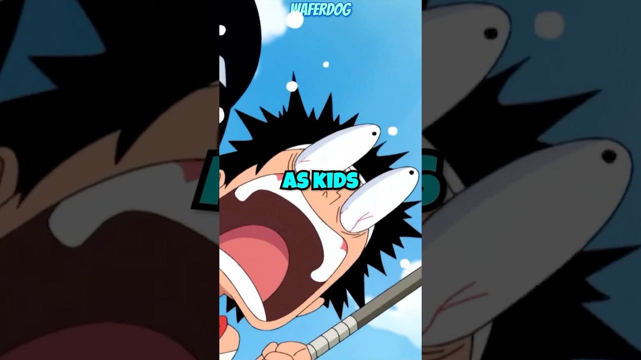 Strongest Onepiece Character in Kid Version