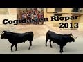 Cogidas de Toro en RIOPAR (ALBACETE) Espana 28/08/2013