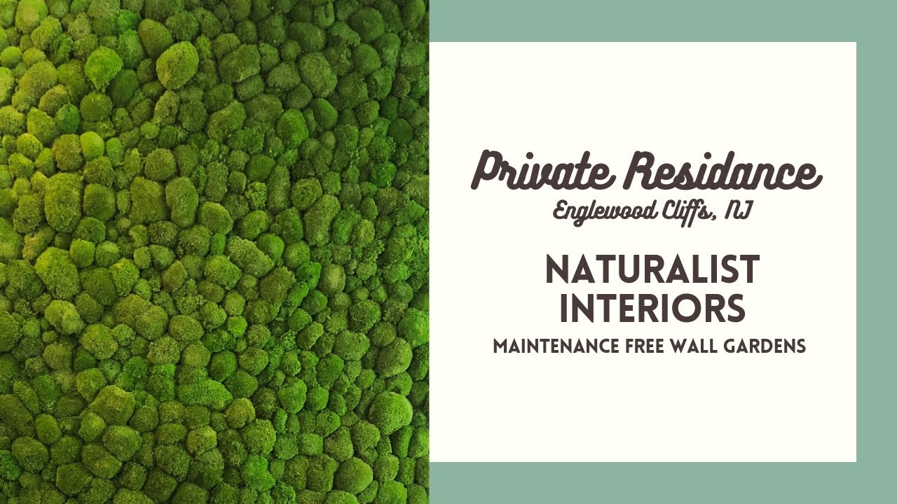 Englewood Cliffs NJ Bun Moss Wall Garden / Framed Moss Wall / Preserved Mood Moss / MaintenanceFree