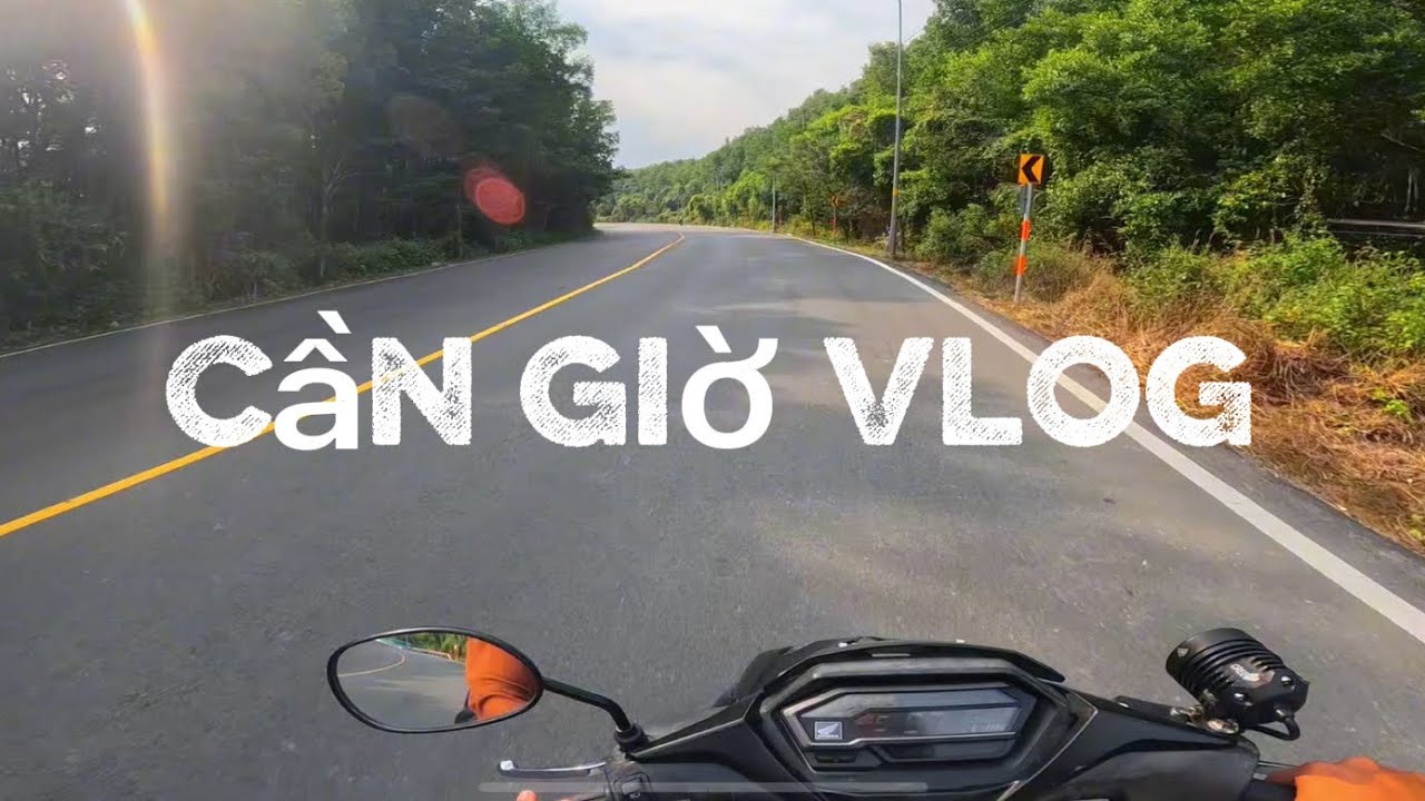 [ Mini Tuor ] Chuyến Đi Cần Giờ Ngày 28 Tết Trên con đường Hoa giấy siêu đẹp 