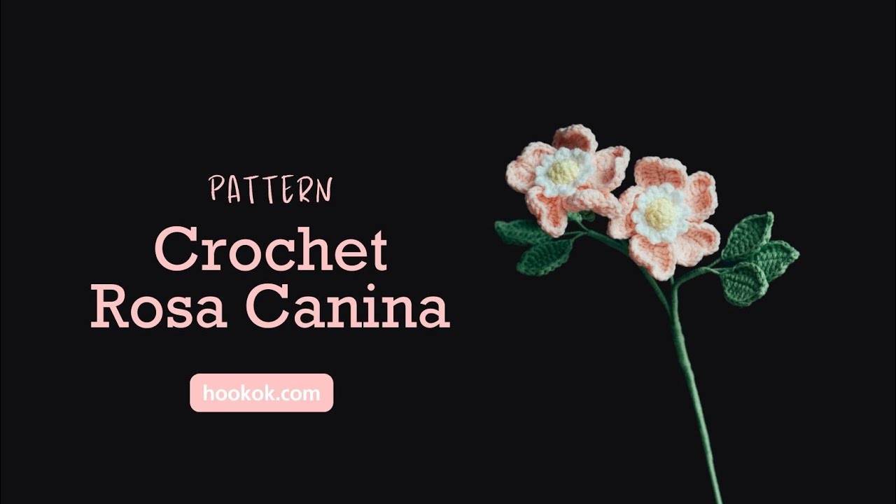 Crochet Rosa Canina