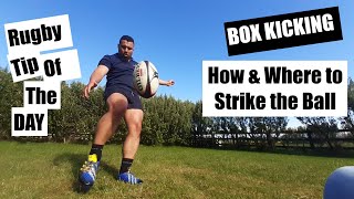 Rugby Tip of The Day! How & Where to Strike a Rugby Ball for Box Kicking #SHORTS #SCRUMHALFTIPS