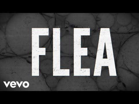 St. Vincent - Flea (Lyric Video)