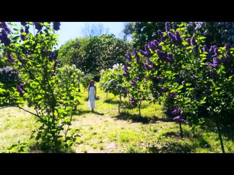 Le cose che sei per me (Song from a Secret Garden)