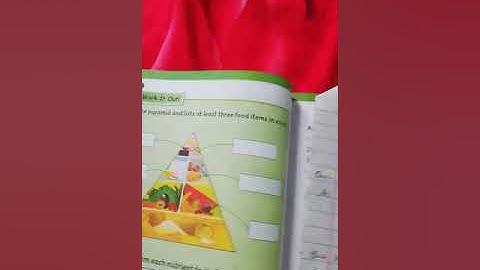 Grade Three :Science :Unit #11 :Q/A 2,3+ bookwork/The Message School Sialkot