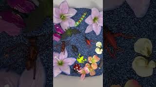 Insect Or Not Sensory Bin | Sorting Sensory Bin | Animal Classification