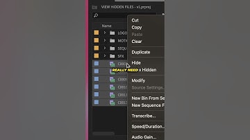 This ORGANIZATION TIP Saves Me SO MANY HEADACHES! (PREMIERE PRO TUTORIAL)
