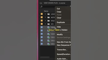 This ORGANIZATION TIP Saves Me SO MANY HEADACHES! (PREMIERE PRO TUTORIAL)