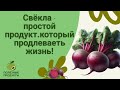 Свёкла — простой продукт, который продлевает жизнь!