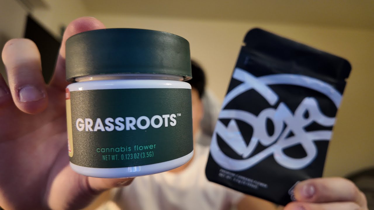 Top Shelf vs Mid Shelf Comparison // Whats The Difference??