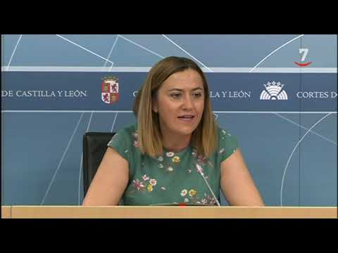 El PSCyL critica que la 'ambición' del acuerdo PP-Cs es el 'reparto de sillones' sin un proyecto la85