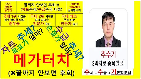 메가터치(446540) 추수기(추수) 전문가 종목 분석