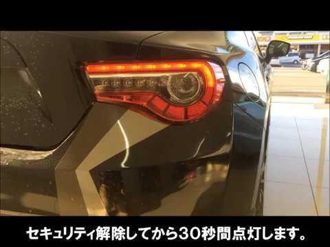 VIPERアクリルスキャナー640V(W) | セキュリティ