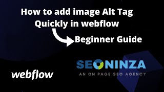 How to add Image Alt tag Quickly in Webflow Website-Video by Seoninza