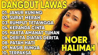 Download Lagu JANUR KUNING - NOER HALIMAH - Kumpulan Lagu Dangdut Lawas Terbaik - Full Album Original MP3 Download Lagu JANUR KUNING - NOER HALIMAH - Kumpulan Lagu Dangdut Lawas Terbaik - Full Album Original MP3