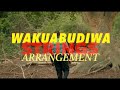 Dr Tumi WAKUABUDIWA STRINGS COVER Dr Tumi WAKUABUDIWA STRINGS COVER