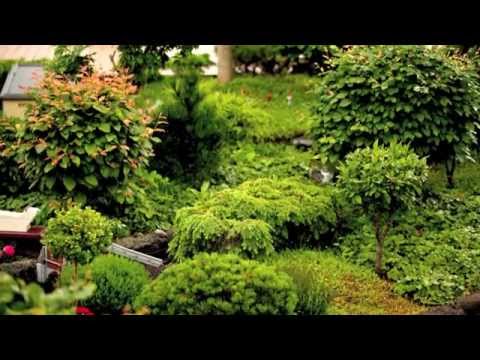 Video: Miniatyrträdgård På Fönsterbrädan