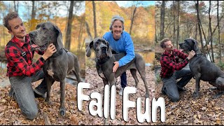 Fall Fun with a Great Dane