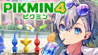 【ピクミン４】祝日出勤だぞお前たち【雨乃こさめ/シクフォニ】