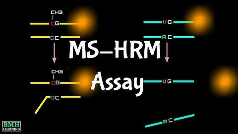 MS-HRM Assay | Methylation Sensitive High Resolution Melting Assay | Methylation Specific PCR |