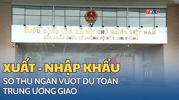 Lào Cai: Số thu ngân sách xuất - nhập khẩu vượt dự toán Trung ương giao | THLC